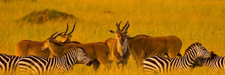 Maralal to Lake Nakuru National Park