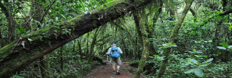 Horombo Huts – Marangu Gate – Moshi