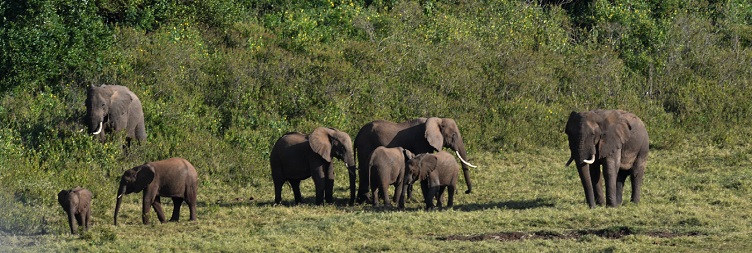 Marsabit National Park to Loiyangalani via Kalacha