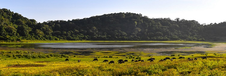 Marsabit National Park to Loiyangalani via Kalacha