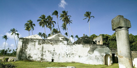 Half-Day Private Maruhubi Palace Ruins Tour from Nungwi in Zanzibar (2026 - 2027)