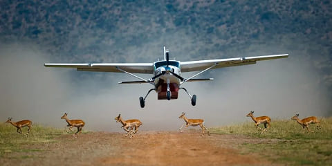 Safari privado de lujo con vuelo de 3 días a la Reserva Nacional de Masai Mara desde Nairobi, Kenia (2026 - 2027)
