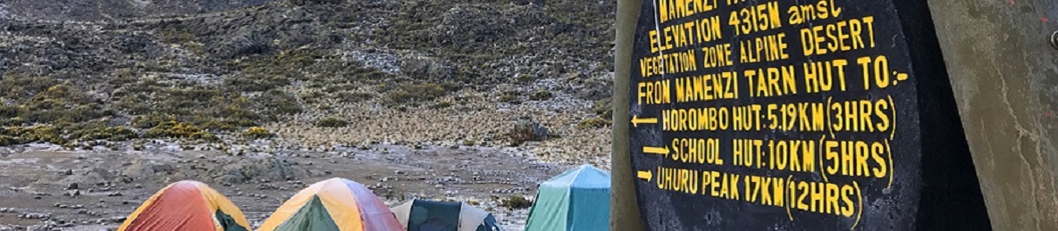 Kikelewa Camp to Mawenzi Tarn Huts