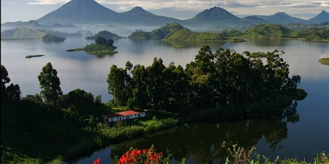 युगान्डाको Entebbe बाट 3 दिनको निजी Bwindi गोरिल्ला र गोल्डेन बाँदर बजेट यात्रा (2026 - 2027)