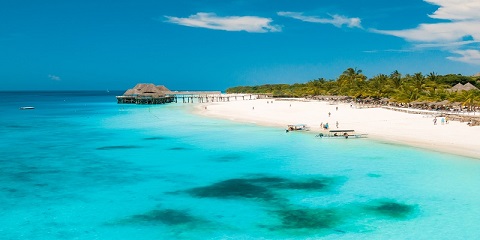 1 dags einkastrandgöngur eða Skelja- og náttúruferð í Michamvi, Zanzibar (2026 - 2027)