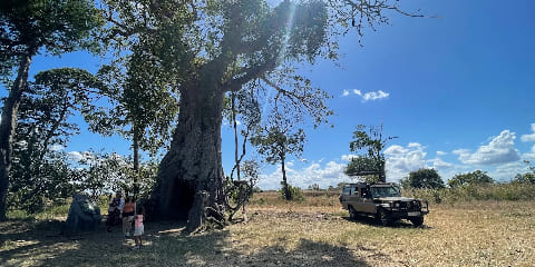 سافاری میان‌رده 4 روزه خصوصی Mikumi و Ruaha از دارالسلام در تانزانیا (2026 - 2027)