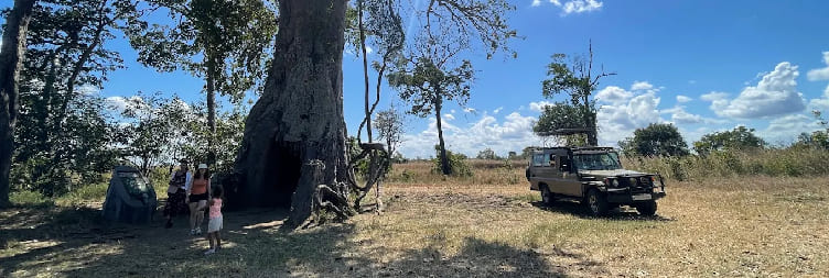 Dar es Salaam – Mikumi National Park by SGR Train