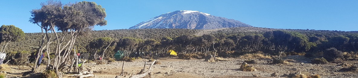Millennium Camp – Mweka Gate – Moshi