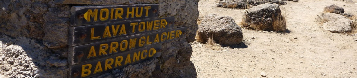 Shira Camp 1 (3,610 meters) to Moir Camp (4,200 meters)