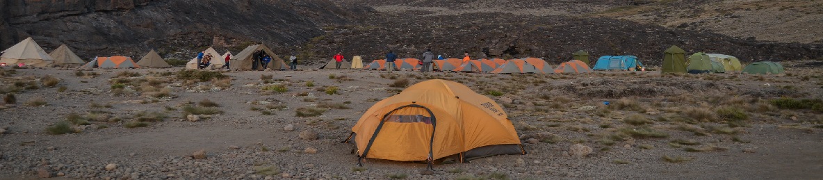 Shira Camp 2 (3,850 meters) to Moir Camp (4,200 meters) 