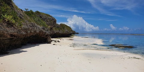 Turne private gjysmë ditore në plazhin Mtende nga Chwaka në Zanzibar (2026 - 2027)