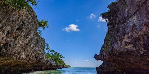 Excursió privada de mig dia a la platja de Mtende des de Pongwe a Zanzíbar (2026-2027)