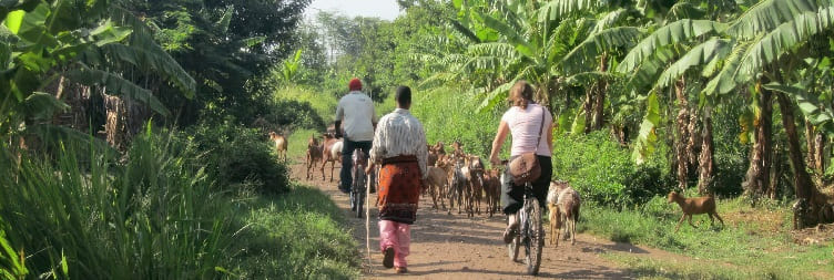 Elephant Caves Visit Tour