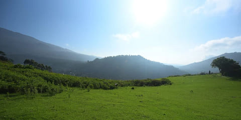 1-päevane privaatne Napuru jugade matk Arushast, Tansaaniast