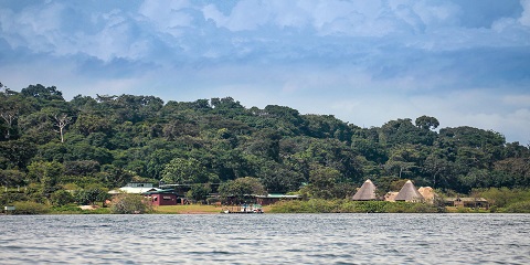 1 jou vwayaj prive chenpanze zile Ngamba soti nan Entebbe, Uganda (2026 - 2027)