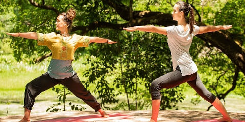 Tour Privat ta' Esperjenza ta' Yoga Arusha ta' Jum minn Moshi, it-Tanżanija (2026 - 2027)