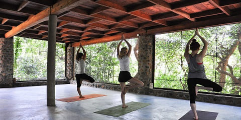 Jednodenní soukromá prohlídka jógy z Arusha City, Tanzanie (2026–2027)