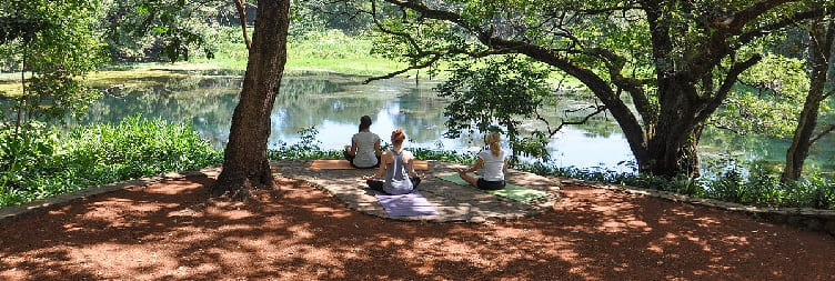 From Moshi to Arusha at Ngare Sero Mountain Lodge