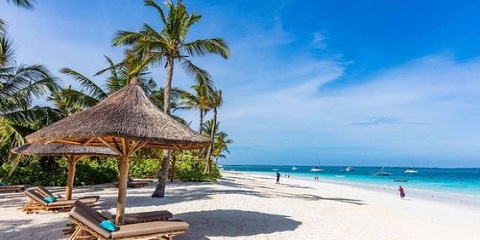 28 Days Group Luxury Safari and Trekking Adventure from Kigali Across Uganda, Tanzania and Zanzibar (2026 - 2027)