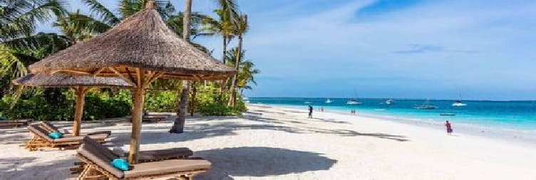 Full Day Beach Relaxation in Zanzibar