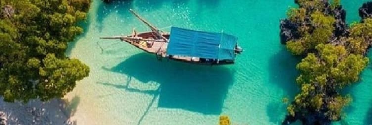 Beach Relaxation at Nungwi