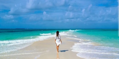 1-tägige private Nyang-Sandbank-Tour ab Stone Town in Sansibar (2026 - 2027)