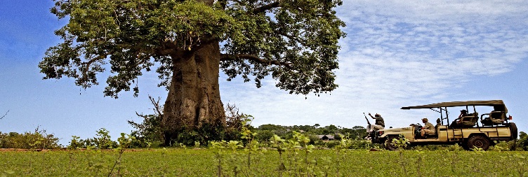 Dar es Salaam to Selous Game Reserve For Game Drive + Boat