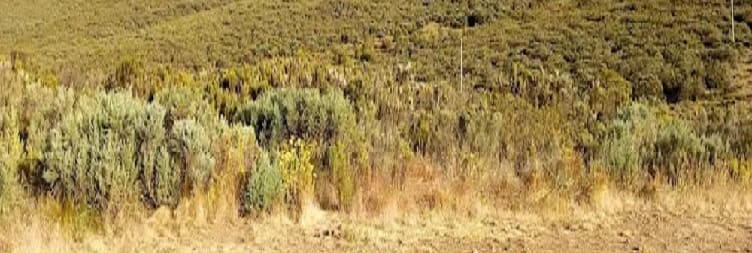 Summit Point Lenana and Descend to Bandas Camp