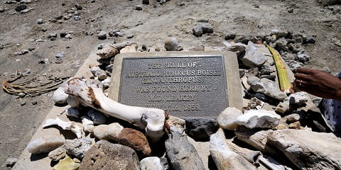 Olduvai Gorge