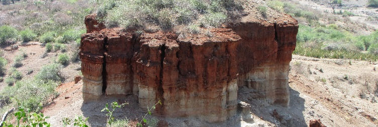 Serengeti – Olduvai Gorge – Ngorongoro Conservation Area