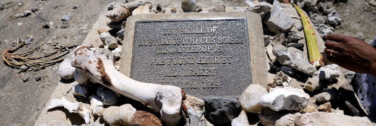 Serengeti National Park to Ngorongoro via Olduvai Gorge