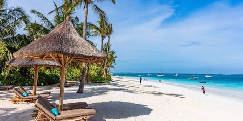 Best Day Trips, Tours, and Excursions from Paje, Zanzibar (2026/2027) - Top Africa Tours