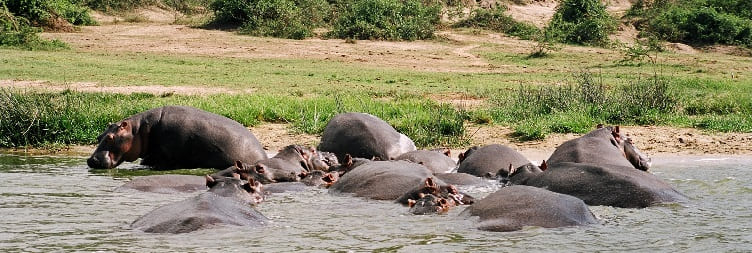 Drive to Queen Elizabeth National Park