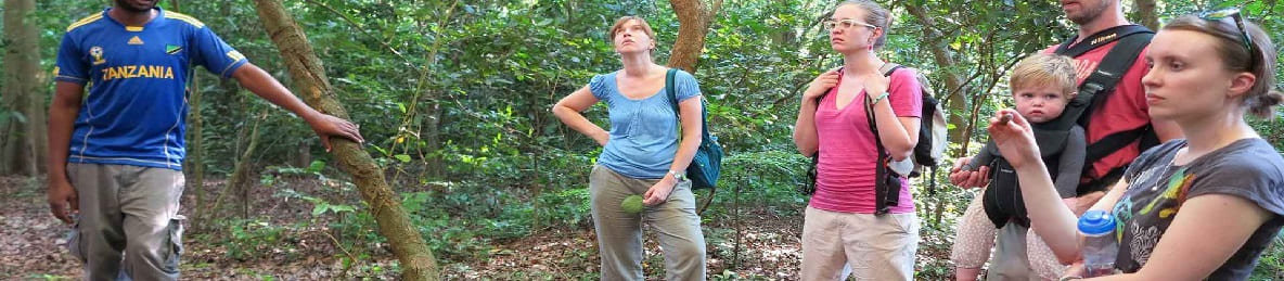 From South America to Tanzania, Africa: 7-Day Private Luxury Kilimanjaro Climbing via the Lemosho Route tour banner