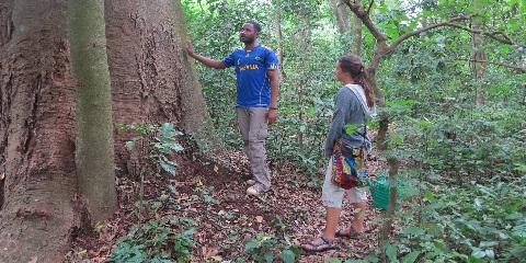 1-dnevno privatno šumsko putovanje iz Moshija, Tanzanija