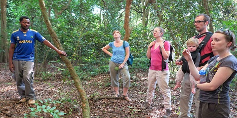 6-Day Private Luxury Mount Kilimanjaro Climbing Trek via the Umbwe Route in Tanzania, Africa from Central Africa