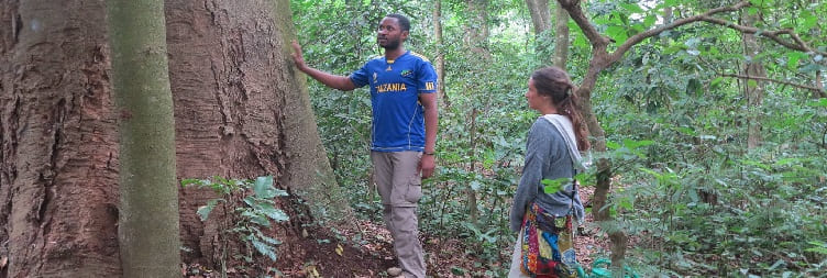 Saka Moshi nganti Rau Forest Reserve