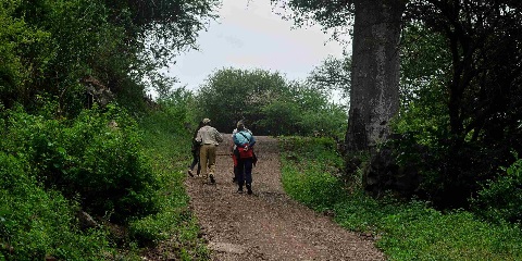 1 დღიანი პირადი ფეხით ტური Mto Wa Mbu-დან, ტანზანია