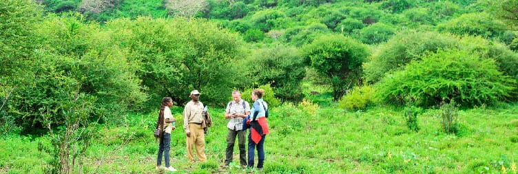 Bird Watching Safari