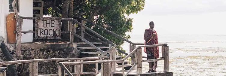 როკ რესტორნის სასადილო ტური პინგვეში