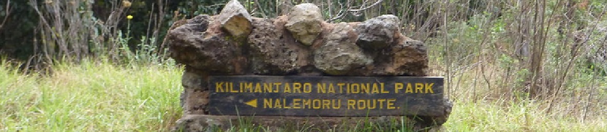 Rongai Gate to Simba Camp