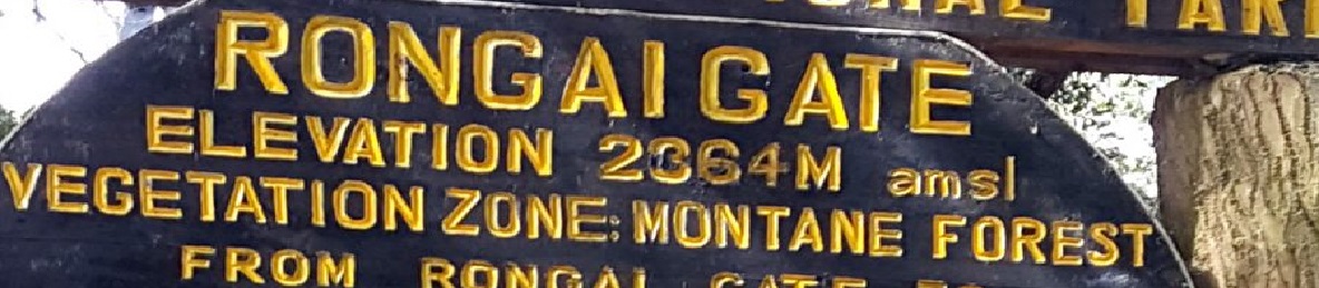 Rongai Gate to Simba Camp