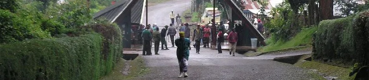 Rongai Gate to Simba Camp
