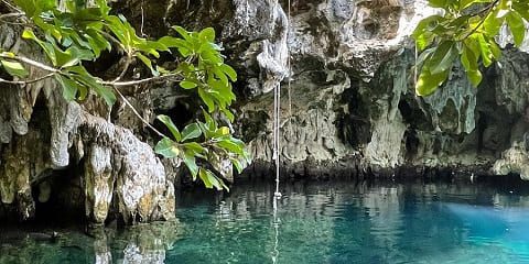 Nga Ana Salaam Tumataiti Haurua me te Kauhoe Honu mai i Pongwe i Zanzibar (2026 - 2027)