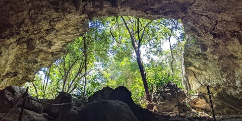 Coves privades de Salaam i natació de tortugues de mig dia des de Chwaka a Zanzíbar (2026-2027)