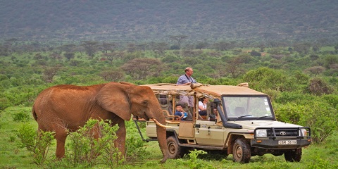 18-Day Kenya Safari – Extended Journey to the Wild