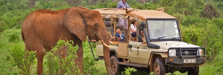 Full Day Safari in Samburu National Reserve
