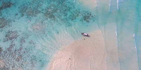 סיור פרטי של חצי יום בגאות שפל מ-Kiwengwa בזנזיבר (2026 - 2027)