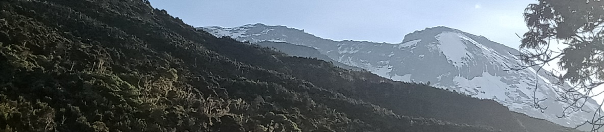 Third Cave Camp (3,800 meters) to School Huts (4,800 meters) 