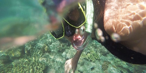 ماجراجویی غواصی 1 روزه خصوصی در ماتموه، زنگبار (2026 - 2027)